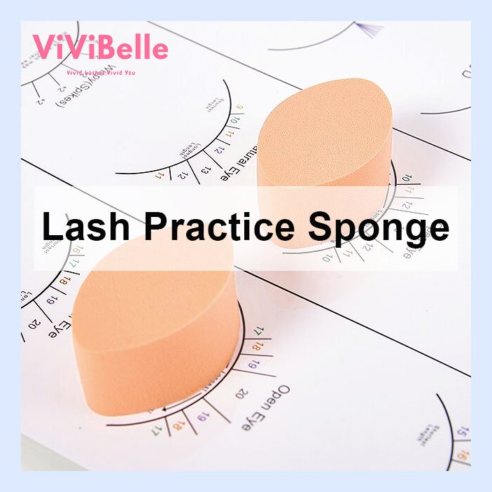 Eyelash Training Sponge