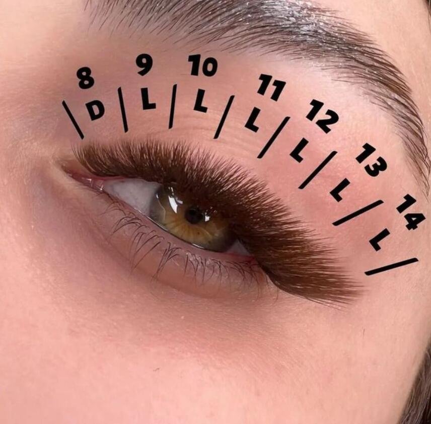 d curl and l curl lashes